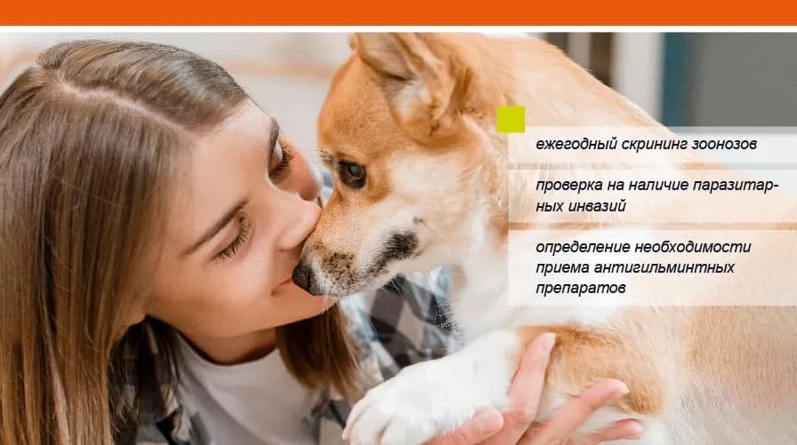 Здоровый владелец