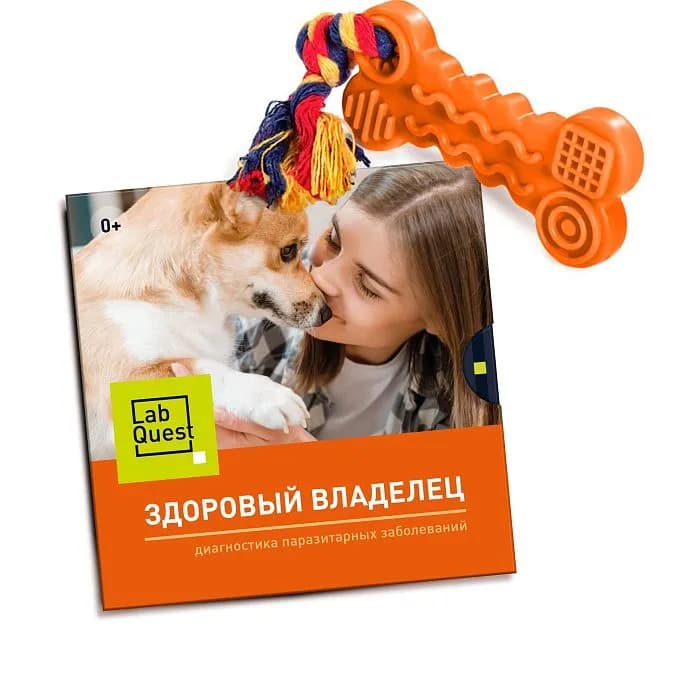 Здоровый владелец