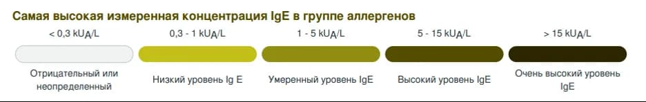 Пример отчета ALEX2