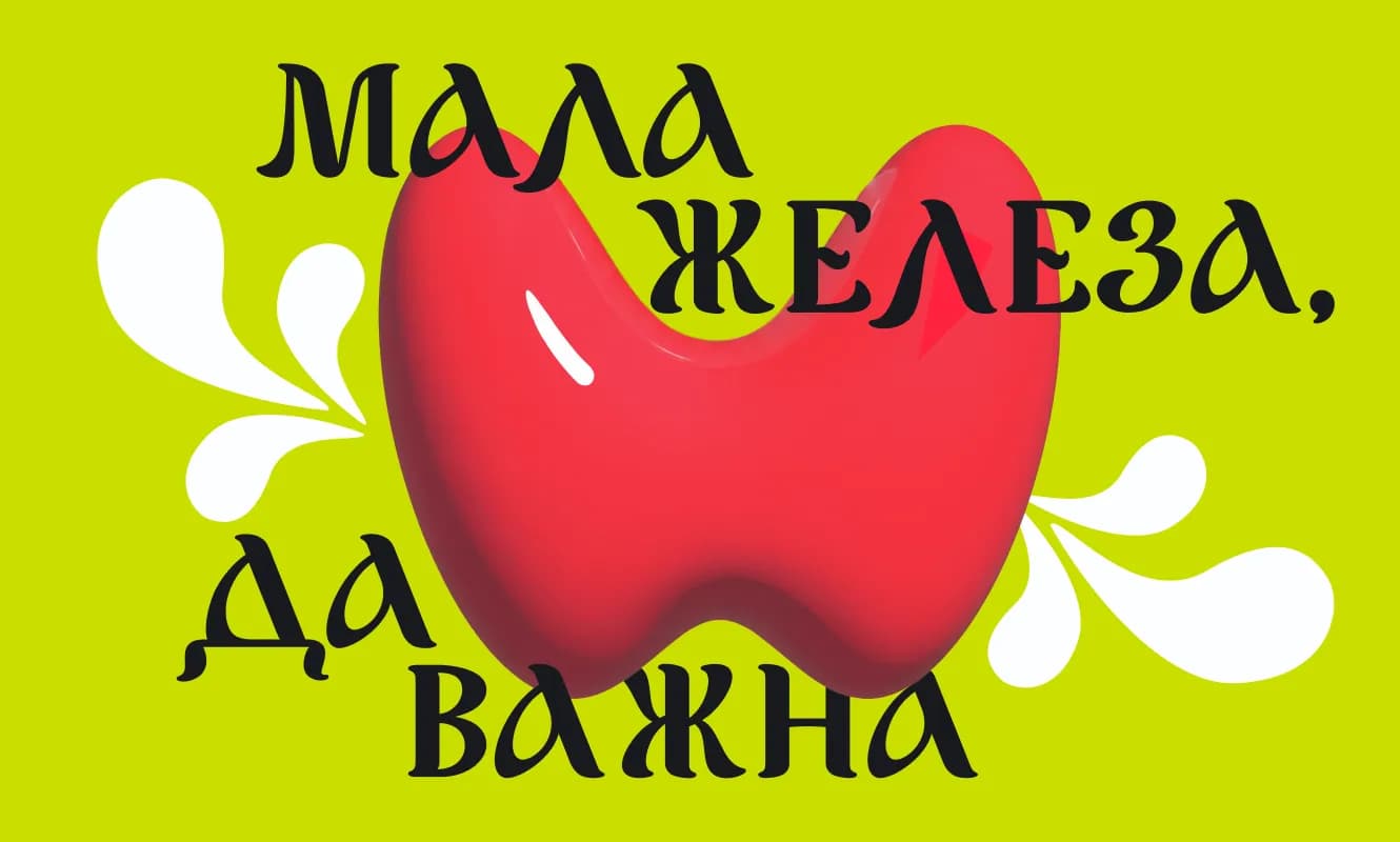 Скрининг<br/>щитовидной<br/>железы