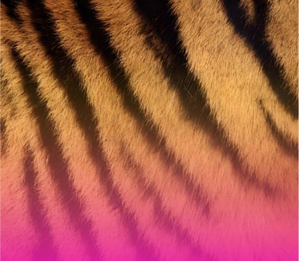 Капельница Энергия движения