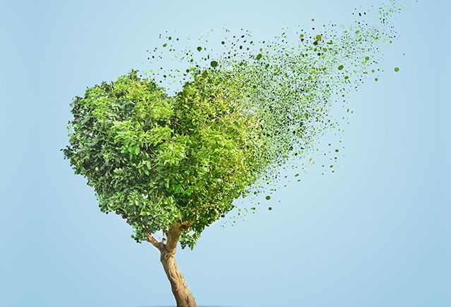 Холтеровское мониторирование - мифы