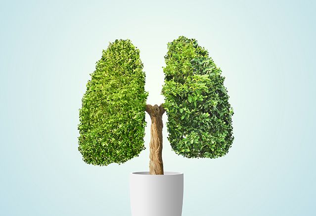 переизбыток лактата в крови