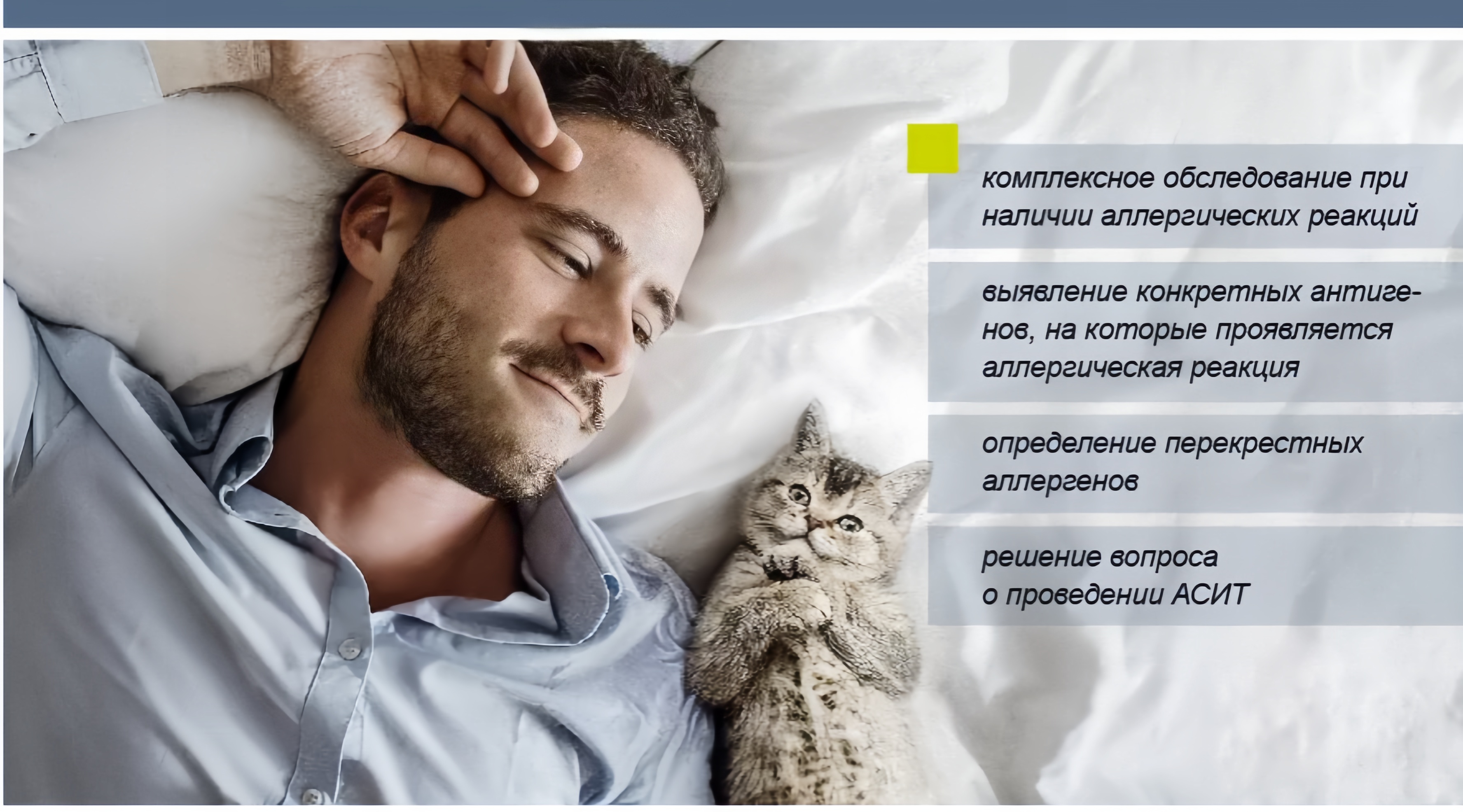 Довольный владелец (диагностика аллергий)