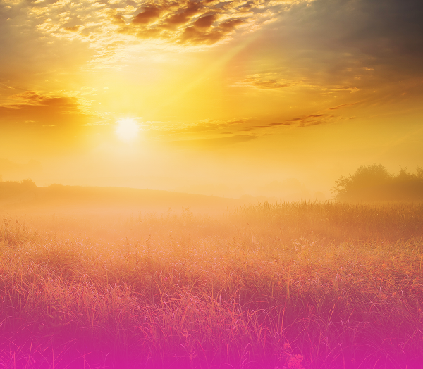 Капельница Формула сияния