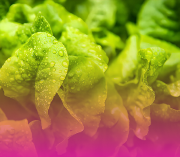 Капельница Чистота изнутри