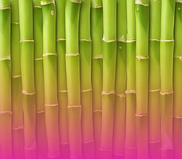 Капельница Лёгкость и стройность