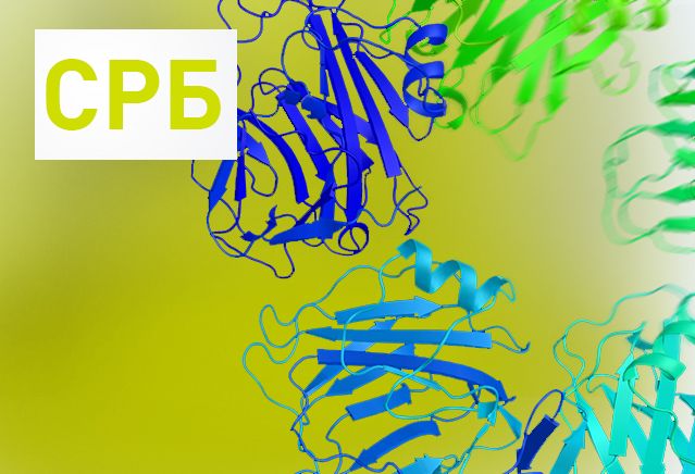 С-реактивный белок повышен: причины