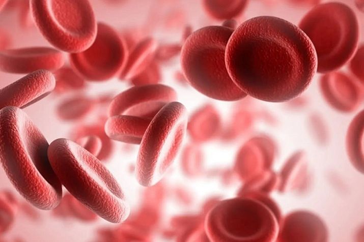 АЧТВ в анализе крови – что это? — ЛабКвест