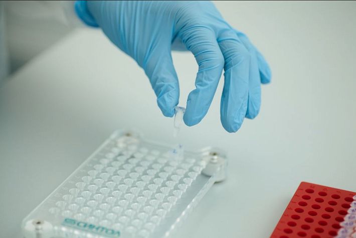 «ЛабКвест Генетика» за восемь месяцев увеличила объём исследований в 3,5 раза