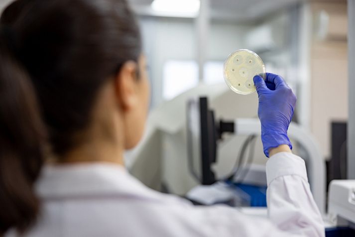 Грибковые инфекции — ЛабКвест