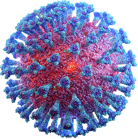 В России на прошлой неделе зафиксировали два новых варианта коронавируса.