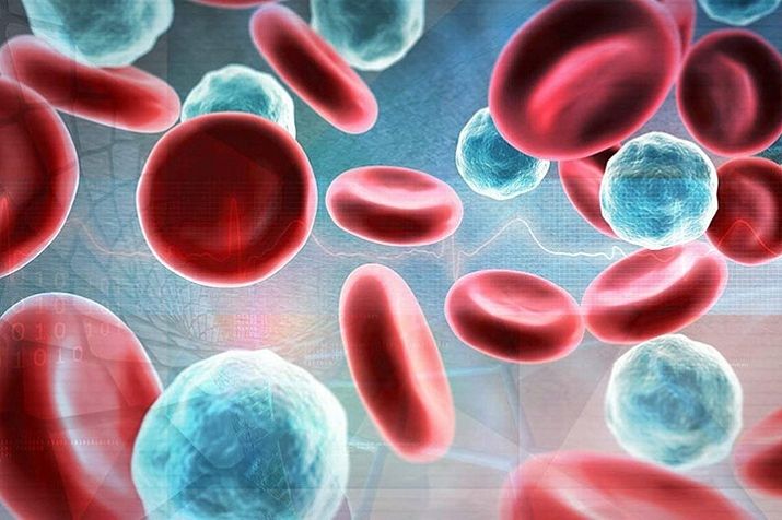 Базофилы - что это такое в анализе крови? — ЛабКвест