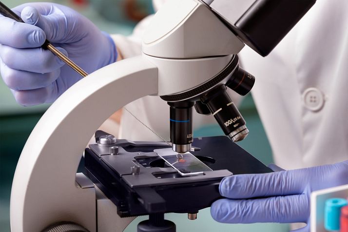 Какие показатели крови могут свидетельствовать об онкологии? — ЛабКвест