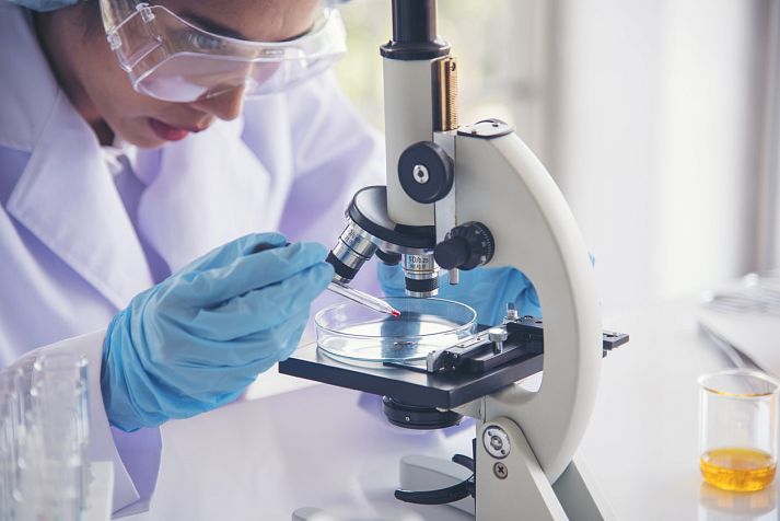 Повышенный билирубин в крови: что это значит. Нормы, причины повышения, дополнительные обследования и лечение  — ЛабКвест