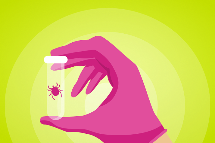 Укусил клещ? Извлеки и проверь на 5 опасных инфекций