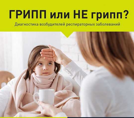 Грипп и ОРВИ: основные отличия — ЛабКвест