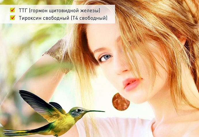 Гипертиреоз: симптомы, диагностика и лечение — ЛабКвест