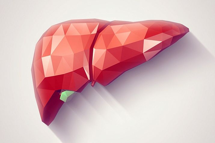 АЛТ (аланинаминотрансфераза) в анализе крови – что это? — ЛабКвест