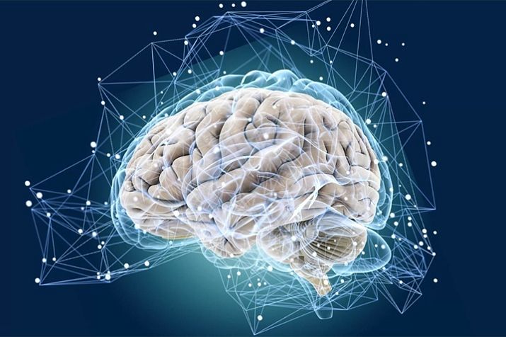 Атаксия — ЛабКвест