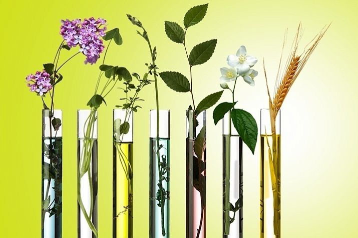 22 аллергена на пыльцу травы и деревьев за 4500 руб.