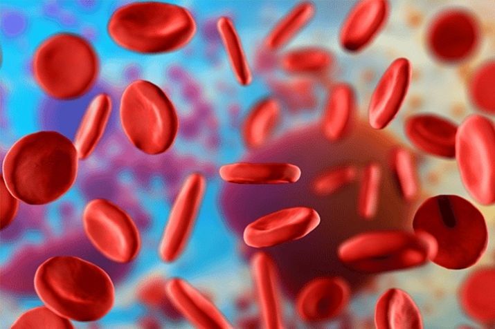 Анализ крови по форме 50 (Ф50) — ЛабКвест