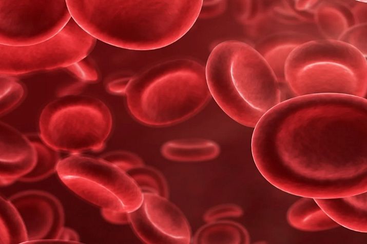 Гематологический анализ - что это? — ЛабКвест