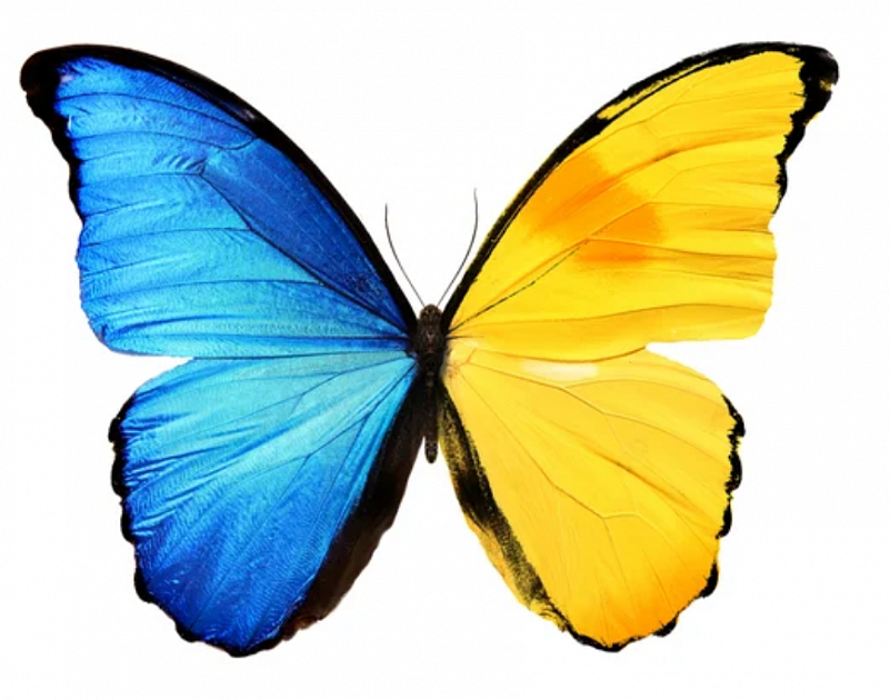 Проблемы с щитовидной железой: диагностика и лечение