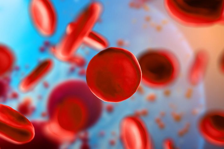 RDW в анализе крови повышен: что это значит? — ЛабКвест